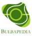 Bulbapedia